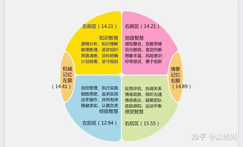 腦象測評 大腦使用說明書的醫(yī)學(xué)研究與試驗發(fā)展